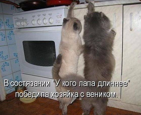 кого папа дли 1Г_к_с веник