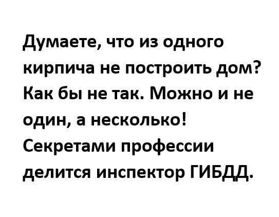 Думаете что из одного кирпича не построить дом Как бы не так Можно и не один а несколько Секретами профессии делится инспектор ГИБДД