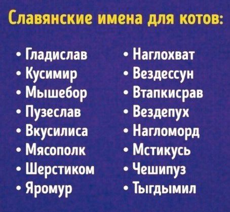 славянские имена дЛЯ КОТОВ Гладислав Кусииир Мышебор Пузеспав Вкусилиса Мясопопк Шерстикои Яроиур Наглохват Вездессуи Втапкисрав Вездепух Нагпоморд Мстикусь Чешипуз Тыгдыиил