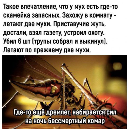 Такое впечатление что у мух есть гдето скамейка запасных Захожу в комнату летают две мухи Приотавучие жуть достали взял газету устроил охоту Убил 5 шт трупы собрал и выкинул Летают по прежнему две мухи Где то ещё дремлет набирается сил на ночь бессмертный комар