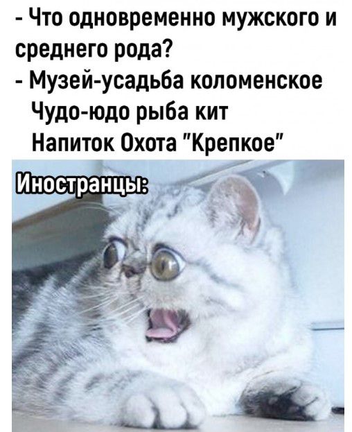 Что одновременно мужского и среднего рода Музей усадьба коломенское Чудо юдо рыба кит Напиток Охота Крепкое