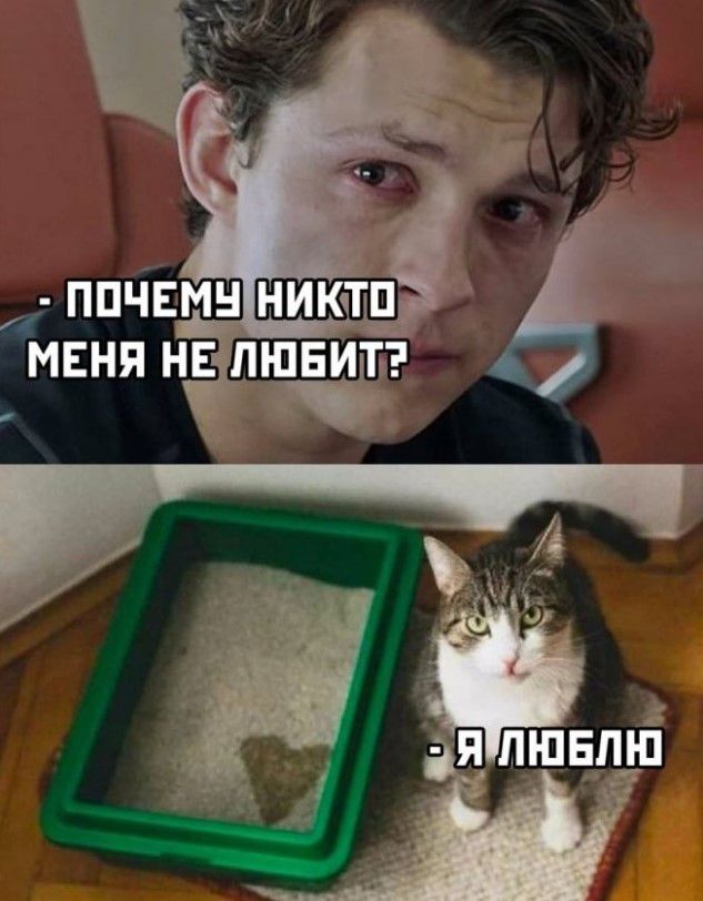 МЕНЯ НЕ ЛЮБИТ