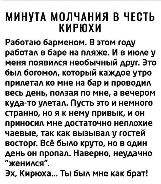 МИНУТА МОЛЧАНИЯ В ЧЕСТЬ КИРЮХИ Работаю барменом В этом году работал в баре на пляже И в июле у меня появился необычный друг Это был богомол который каждое утро прилетал ко мне на бар и проводил весь день ползая по мне а вечером куда то улетал Пусть это и немного странно но я к нему привык и он приносил мне достаточно неплохие чаевые так как вызывал у гостей восторг Всё было круто но в один день он