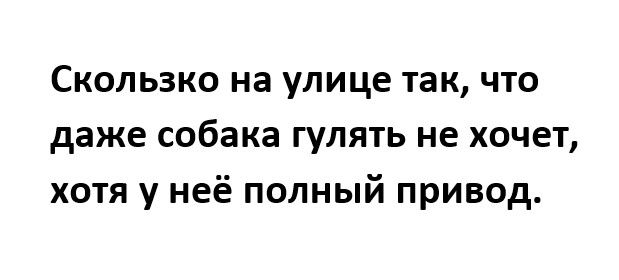 Скользко на улице так что даже собака гулять не хочет хотя у неё полный привод