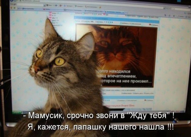 Мамусик срочно зво Я кажетапашку