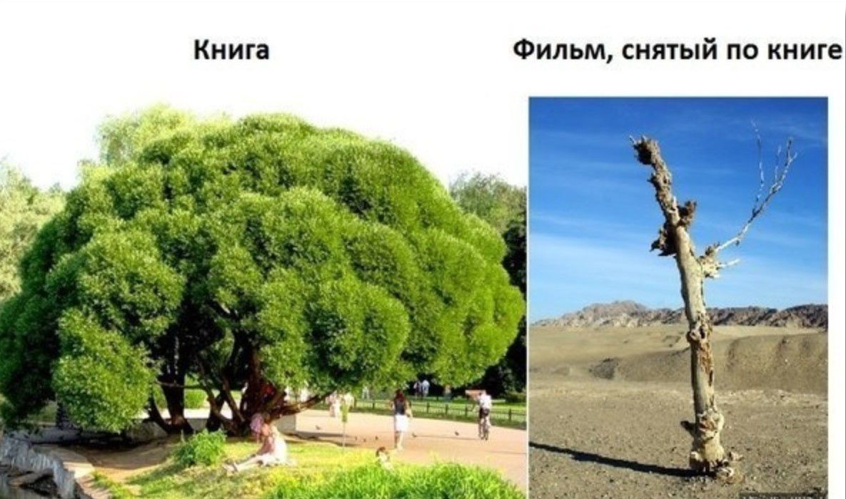 Фил м юный по книге