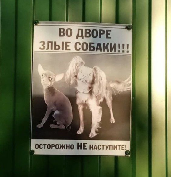 во ДЁЁРЕ пыв соышщз