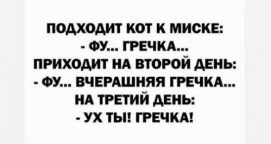 подходит кот к миске ФУ гречкд приходит нд второй ддиь ш ВЧЕРАШНЯЯ грим НА третий день ух ты грвчкм