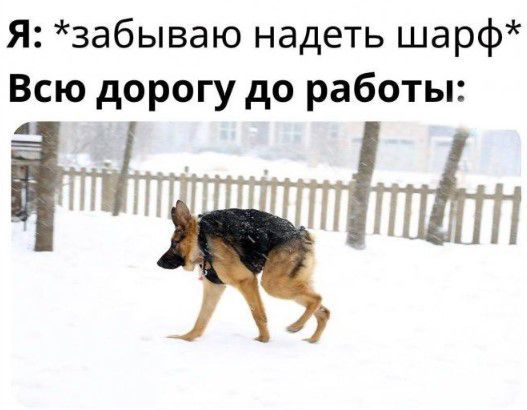 Я забываю надеть шарф Всю дорогу до работы