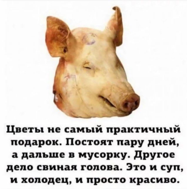 Цветы и самый практичный подарок Постоят пару дней а дальше иусорку другое дело снимая голова Это и суп и холодец и просто красиво