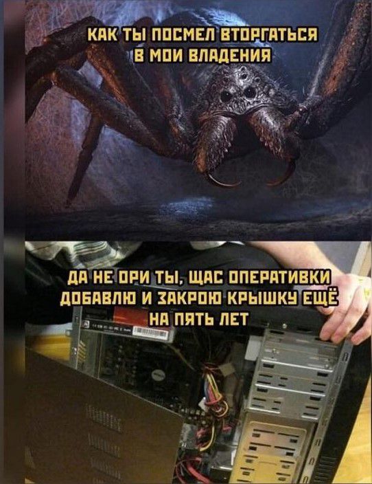 Сэт КЛК ТЬ_ ППСМЕЛ ЕТПРГПТЬПП Ё МПИ ЛМЕНИЯ _ _ НП ПЯТЬ ЕТ _