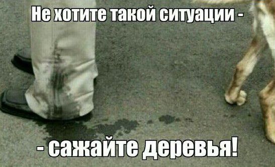 сажаитедепевьн