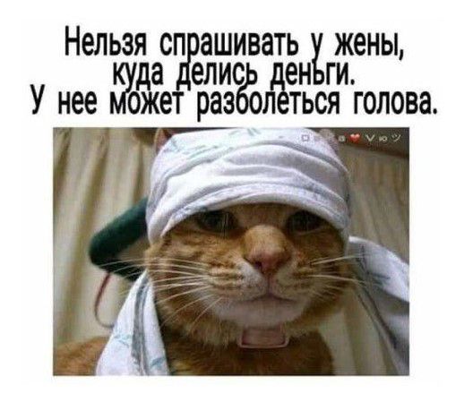 Нельзяасгдзжёватён гЁены У нее разЁЁлЁться голова