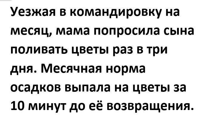 Уезжая в командировку на месяц мама попросила сына поливать цветы раз в три дня Месячная норма осадков выпала на цветы за 10 минут до её возвращения