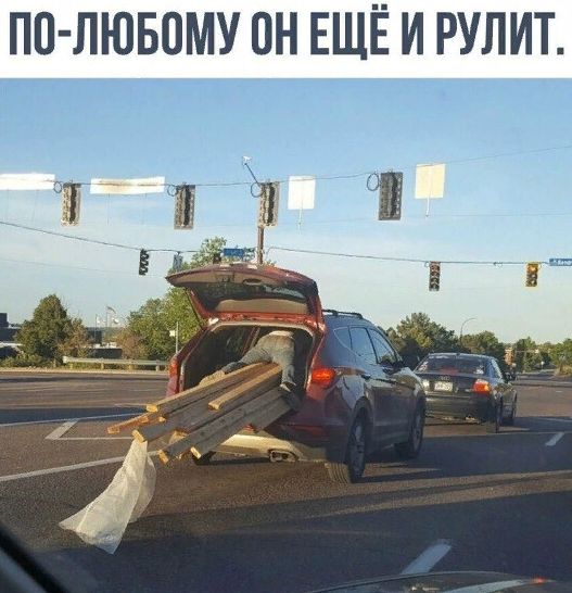 ПО ЛЮБПМУ ОН ЕЩЁ И РУЛИТ