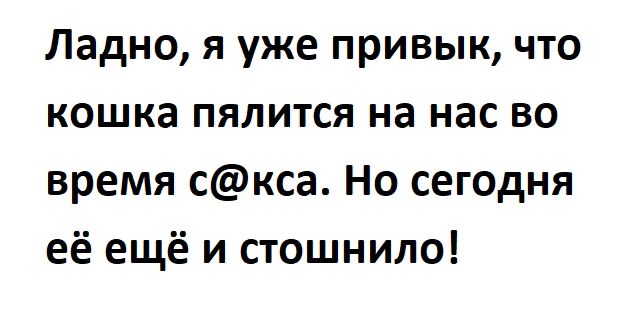 Ладно я уже привык что кошка пялится на нас во время скса Но сегодня её ещё и стошнило