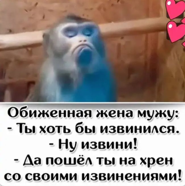 Обиженная жена мужу Ты хоть бы извиниюя Ну извини Аа пошёд ты на хрен со своими извинениями
