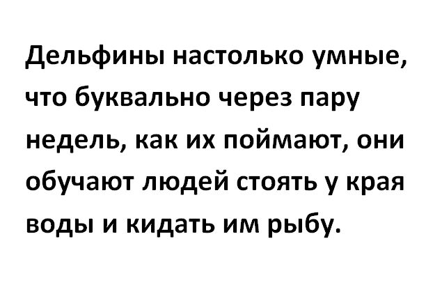 дельфины настолько умные что буквально через пару недель как их поймают они обучают людей стоять у края воды и кидать им рыбу