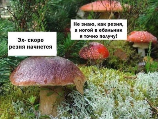Эх скоро резня начнется