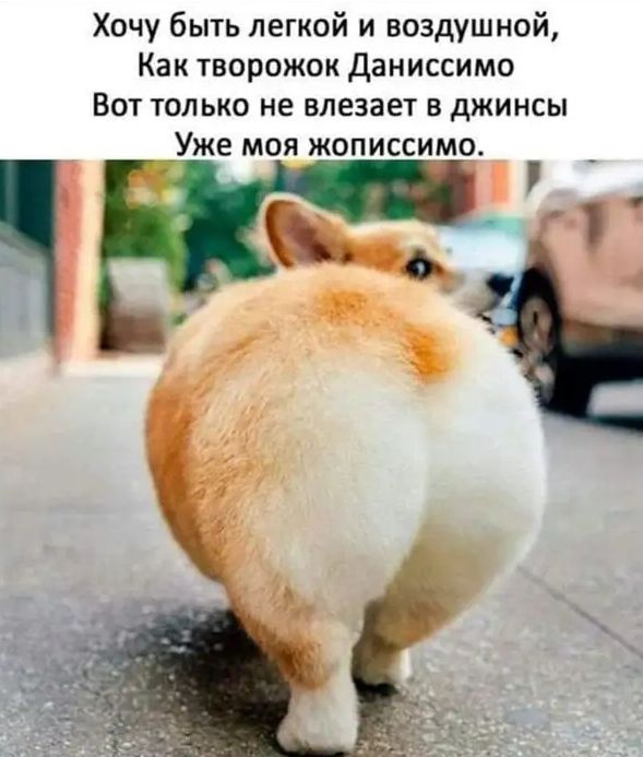 Хочу быть легкой и воздушной Как творожок Даниссимо Вот только не влезает в джинсы Уже моя жописсимо