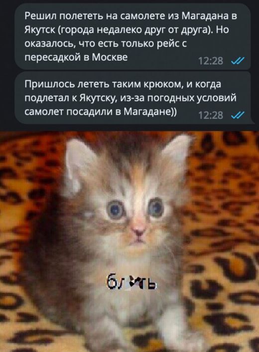 Решил полететь на самолете из Магадана в Якугск город недалеко друг итдруга Но сказати чт есть только рейс пересадкой в Москве 1228 Пришлось лететь таким крюком и когда пометал к якутску иэ за погодных условий сэмплы посадили в Магадане 1228