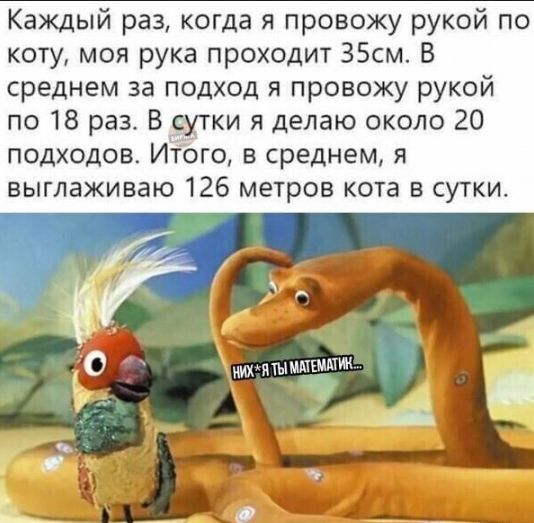 Каждый раз когда я провожу рукой по коту моя рука проходит 35см В среднем за подход я провожу рукой по 18 раз В сутки я делаю около 20 подходов Итого в среднем я выглаживаю 126 метров кота в сутки ищ чммышмм