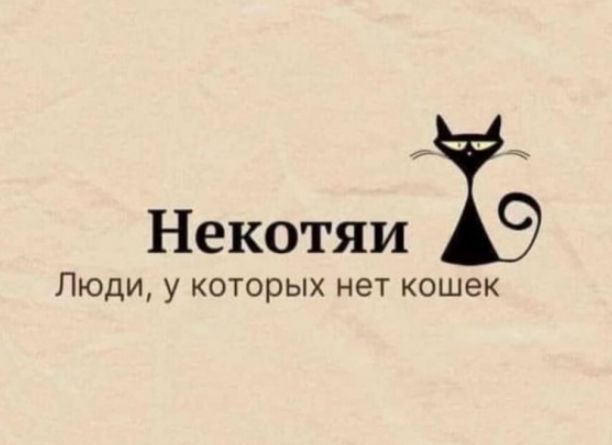 Некотяи тэ Люди у которых нет кошек