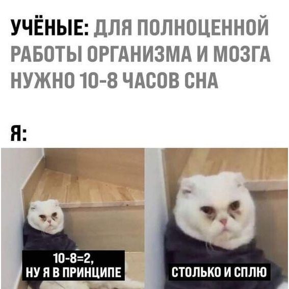 УЧЁНЫЕ дЛЯ ПОЛНОЦЕННОЙ РАБОТЫ ОРГАНИЗМА И МОЗГА НУЖНО 10 8 ЧАСОВ СНА НУ П В ПРИНЦИПЕ СТОЛЬКО И СПЛЮ