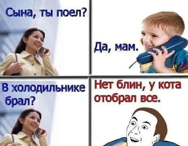 _ ЪНИКе Нет блин у Кота ОТОБРЗП Все