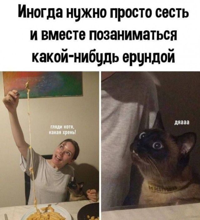 Иногда можно просто сесть и вместо позаниматься какой нибцдь ерцндой