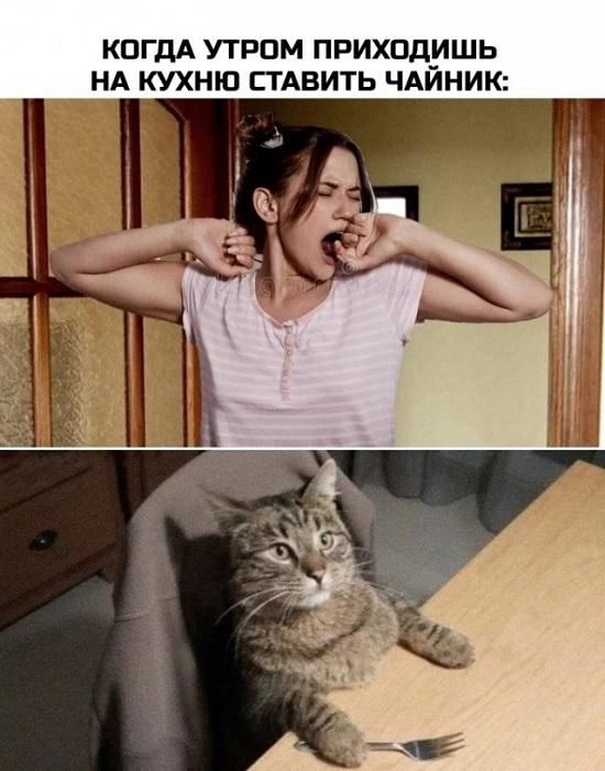 КПП УТРПМ ПРИХОДИШЬ НА КУХНЮ СТАВИТЬ ЧАИНИК