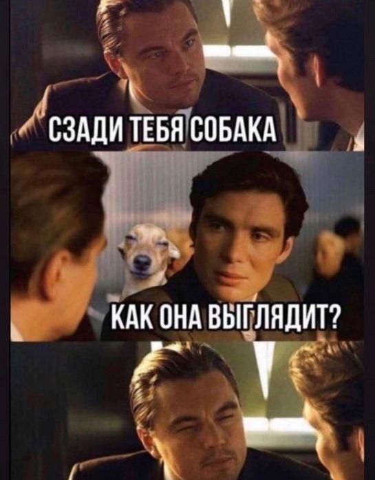 г г Гсзддитввтсввдкдъ _И АК ОНА ВЫГЛНЛИТ і Ц У