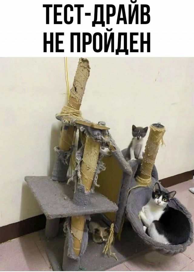 твет дгдйв нв пдпиден