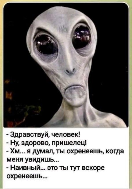 Здравствуй человек Ну здорово пришелец Хм я думал ты охренеешь когда меня увидишь Наивный это ты тут вскоре охренеешь