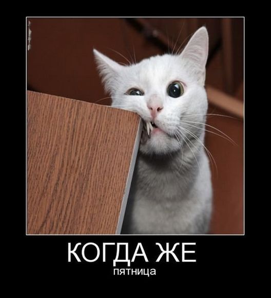 КОГДА ЖЕ пятница