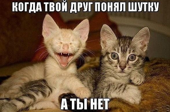 МДА ТВВЙ ШРИ ПЩШП ШШШ