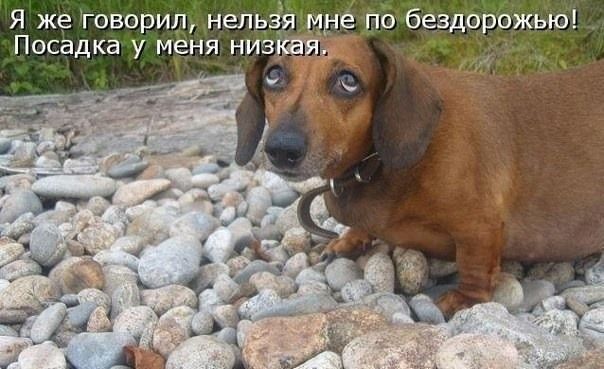 Я же говорип непьіячинё по бездорбжью Посадка у меня низтуд И