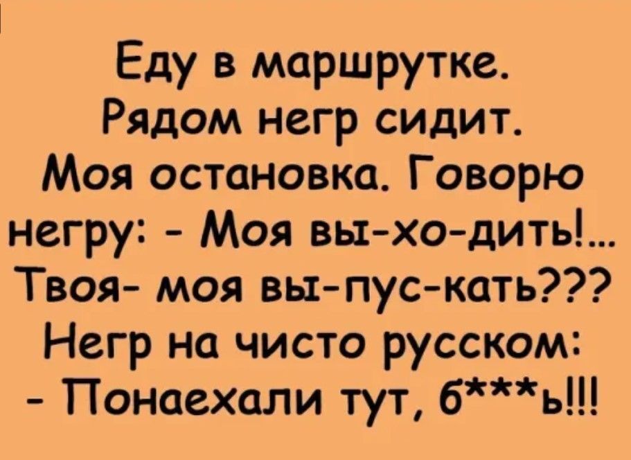 Еду в маршрутке Рядом негр сидит Моя остановка Говорю негру Моя вы хо дить Твоя моя вы пус кать Негр на чисто русском Понаехали тут бь