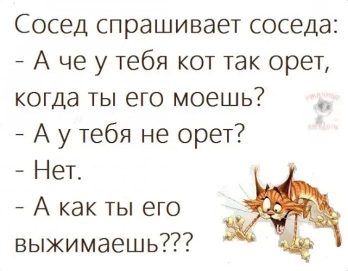 Сосед спрашивает соседа А че у тебя кот так орет когда ты его моешь А у тебя не орет Нет А как ты его выжимаешь