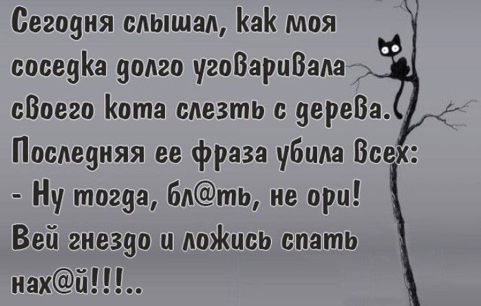 Сеговия слышал а моя сосеуіш долго угоВэрцВаш сВоего Кота слезть с дереВа Последняя ее фраза убила Всех Ну тогда блть не при Вей гиезио ц АоЖцсь спать иахй