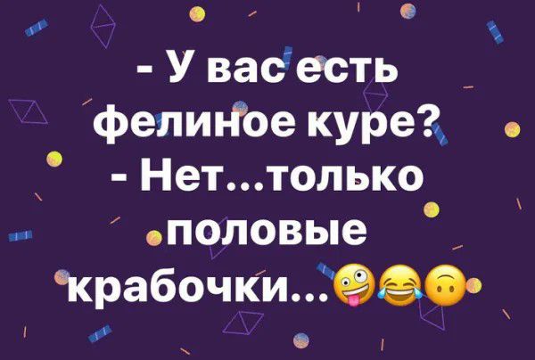 У вас есть _ фелиное куре Неттолько _ половые крабочкшіеаі