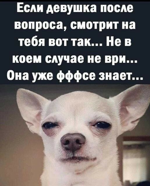 Если девушка после вопроса смотрит на тебя вот так Не в коем случае не ври Она уже фффсе знает _