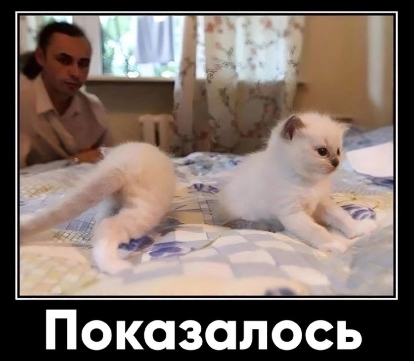 Показалось