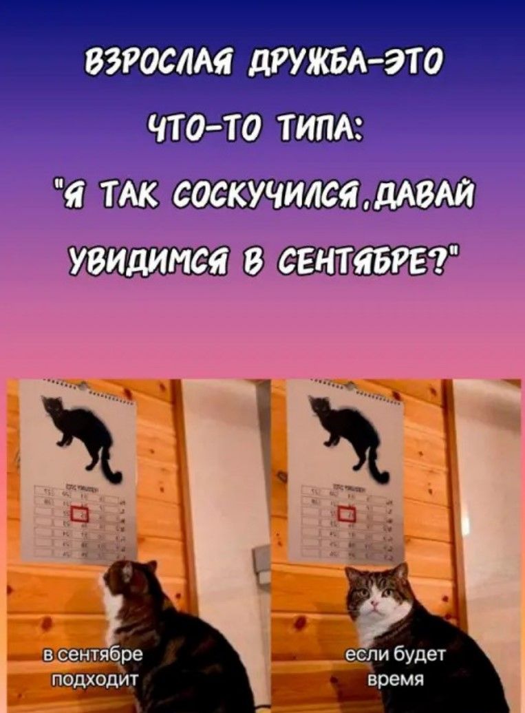 ОШЁП МЮ вдеитябре подходит