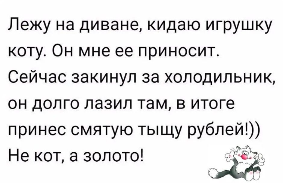 Лежу на диване кидаю игрушку коту Он мне ее приносит Сейчас закинул за холодильник он долго лазил там в итоге принес смятую тыщу рублей Не кот а золото 1