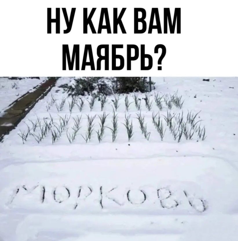 НУ КАК ВАМ МАНБРЬ дёёчииш мии