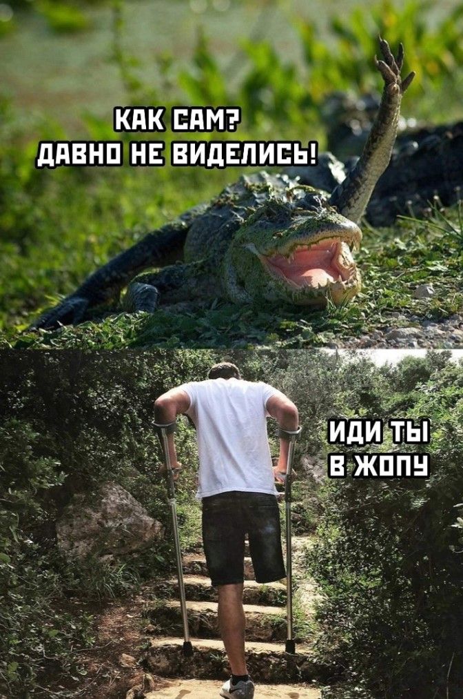 Как впн линии на видении