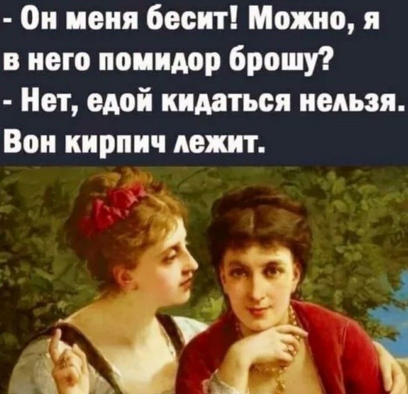 Он пеня бесит Можно я в него помидор брошу Нет едой кидаться нельзя Вои кирпич лежит _ 3 Г Е