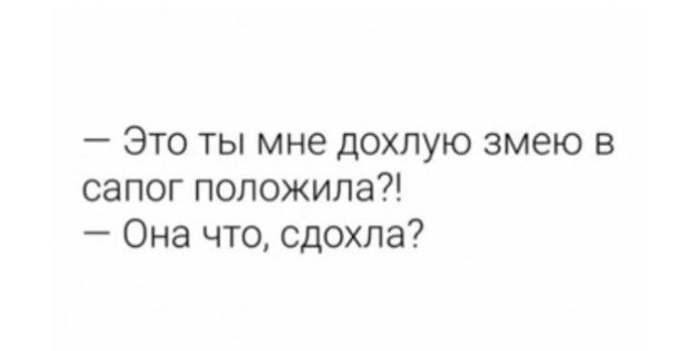 Это ты мне дохлую змею в сапог положила Она что сдохла