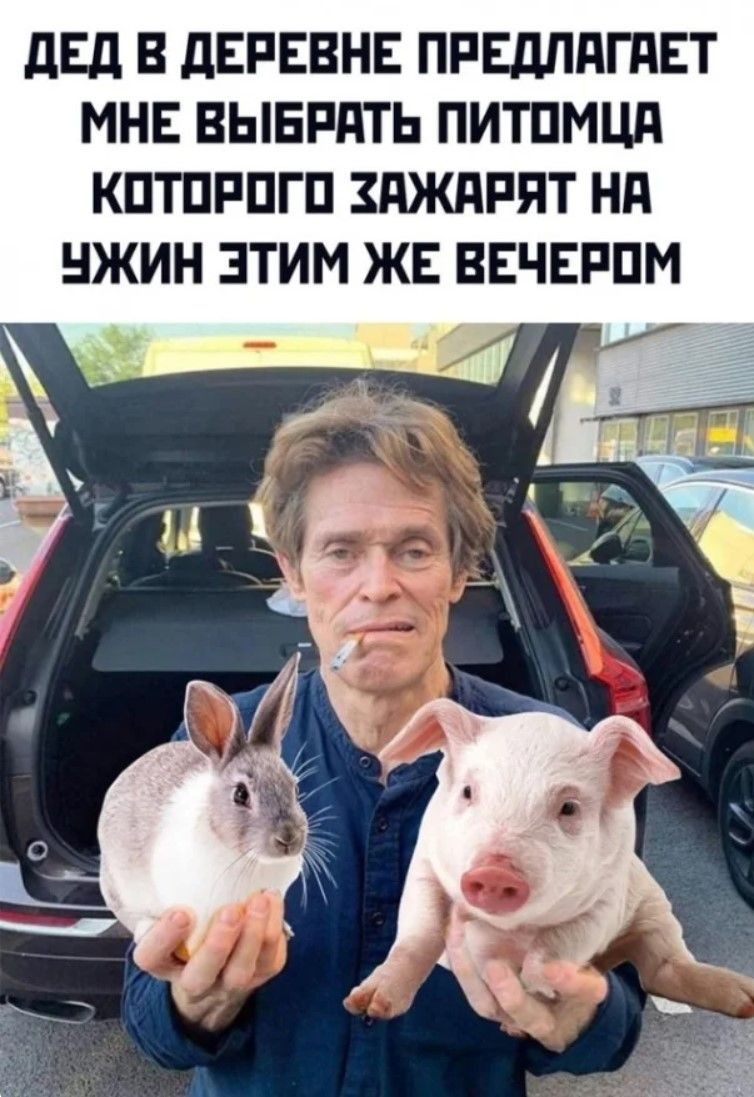 дЕд В дЕРЕВНЕ ПРЕДППГПЕТ МНЕ ВЫБРАТЬ ПИТПМЦП КПТПРПГП ЗПЖПРЯТ Нд НЖИН ЭТИМ ЖЕ ВЕЧЕРПМ